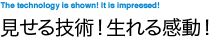 ������Z�p�I����銴���I