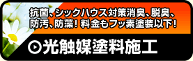 ���G�}�h���{�H�F���Ɠ��e�y+a�̌��ʕt�h�����{�H�z