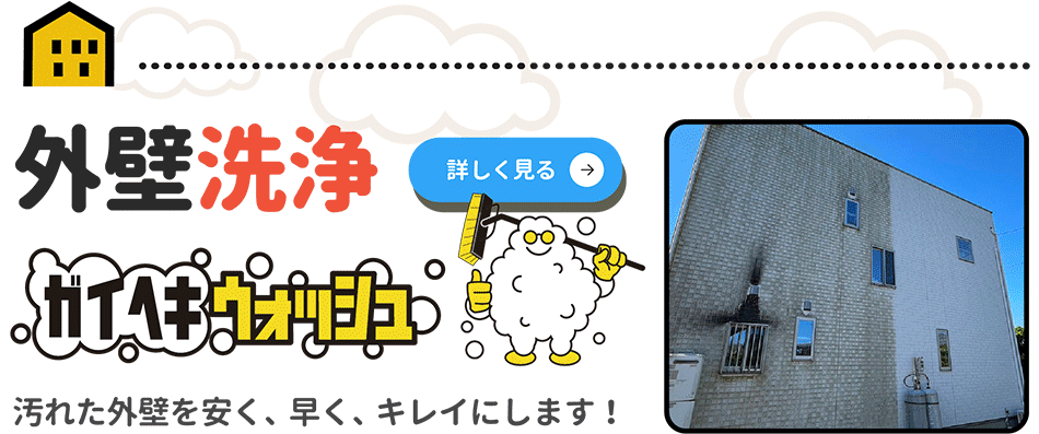 ガイヘキウォッシュページ詳細へ