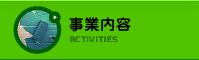 事業内容