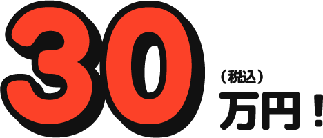 30万円（税込）